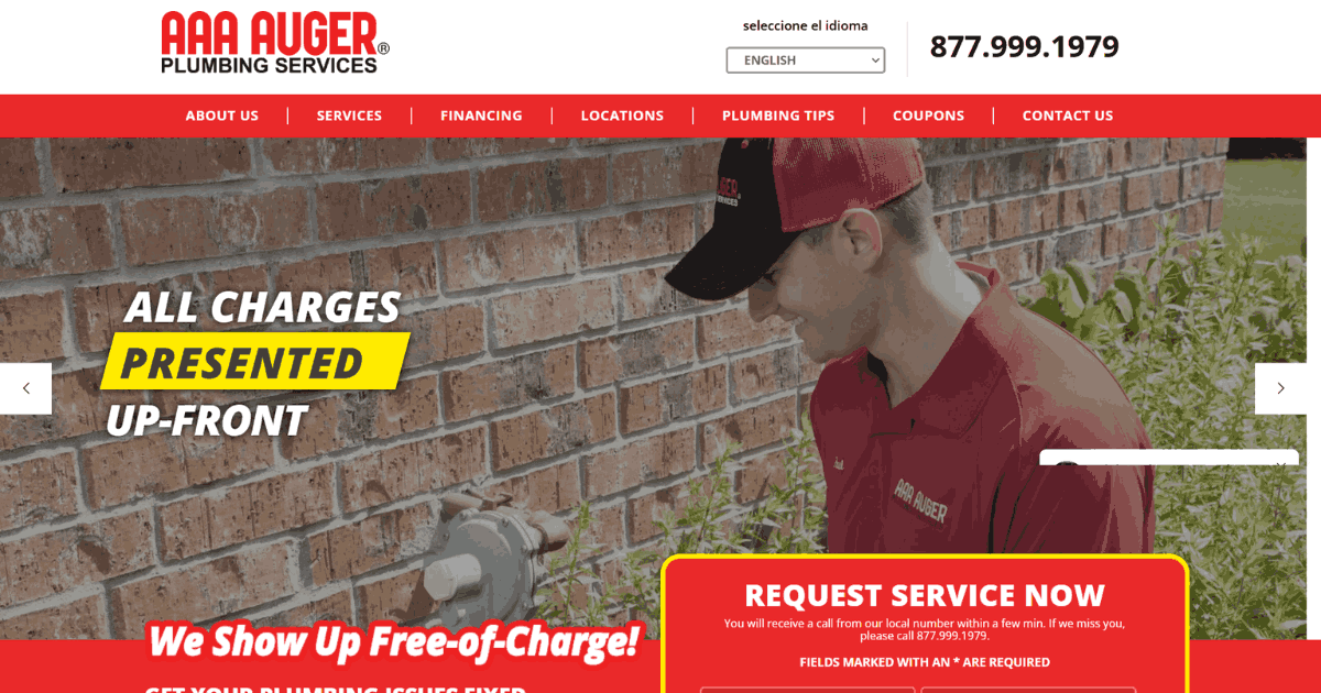 Plumbing website